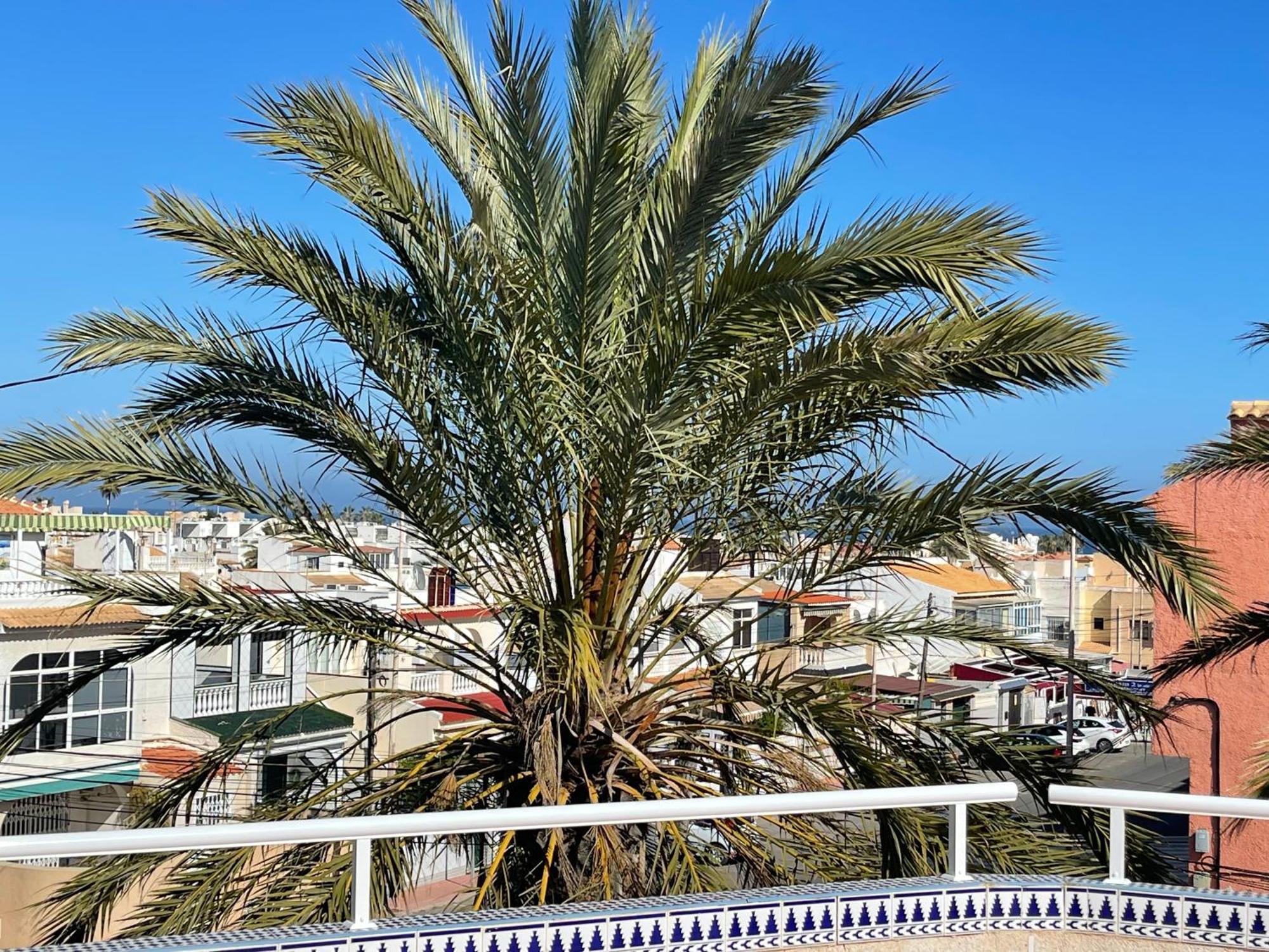 Anna'S Garden Bed & Breakfast Torrevieja Luaran gambar